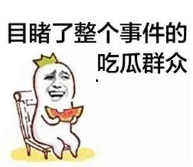 娱乐吃瓜酱名言大全集视频,笑料百出,智慧闪耀