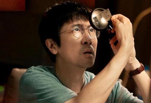 叶文洁娱乐吃瓜酱,揭秘娱乐圈幕后故事