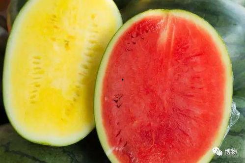 娱乐高质量吃瓜,明星们的“吃瓜”盛宴